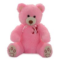 Teddy Bear 1.5 Feet