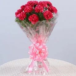 12 Pink Carnations Bunch