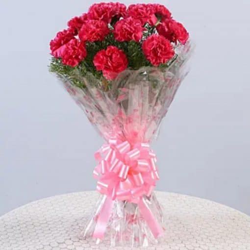 12 Pink Carnations Bunch