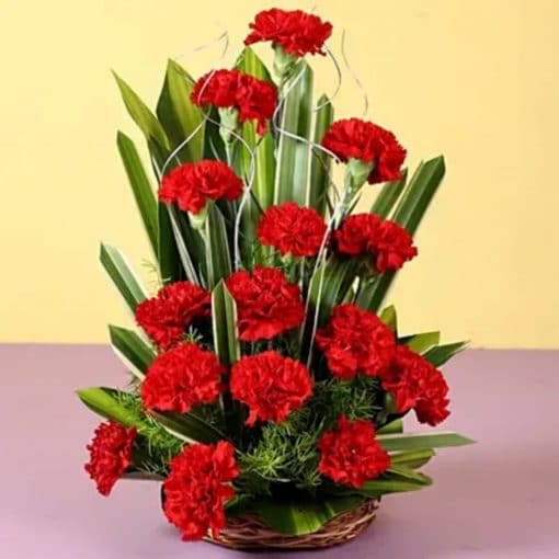 15 Regal Carnations Basket