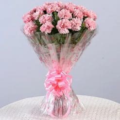 Adorable Bunch Of 24 Pink Carnations