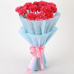 Adorable Pink Carnations Bouquet