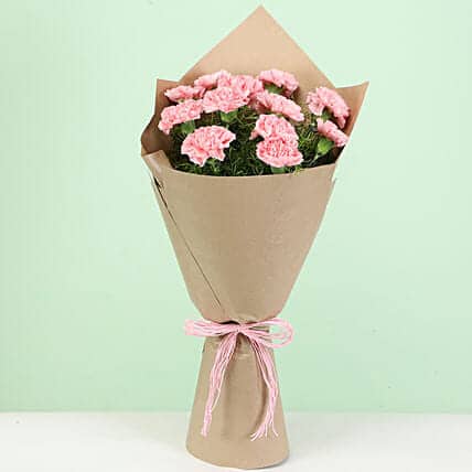 Perfect 12 Light Pink Carnations Bouquet