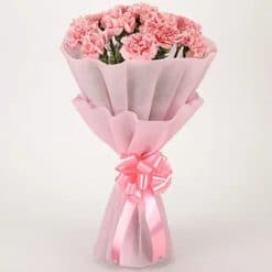 Pretty Pink Carnations Bouquet