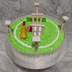 Cricket Ball Cake