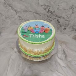 Birthday Photo Cakes