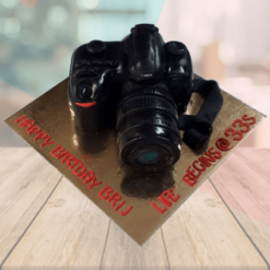 Fondant Camera Cake