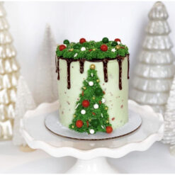 Christmas Cake Designs