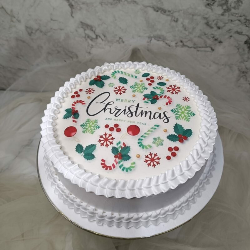 Merry Christmas cake