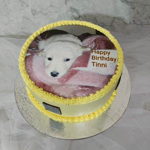 Dog Photo Cake | Dog Cake