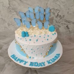 Butterfly Cake for Kids