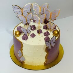 Butterfly Cake Design