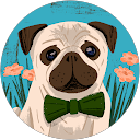 bhavna M profile picture